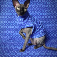 Star Of David - Thumbnail 2