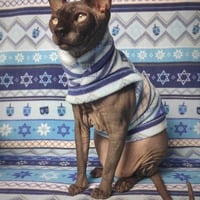 Dreidel - Thumbnail 2