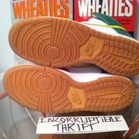 Rasta 6.0 Nike Dunks - Thumbnail 1