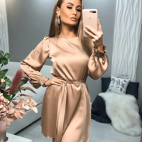 Lantern Sleeve O-Neck Belt A-Line Dress - Thumbnail 4