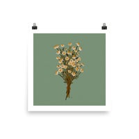 Chamomile Print - Thumbnail 1