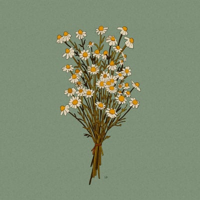 Chamomile print - Thumbnail 2
