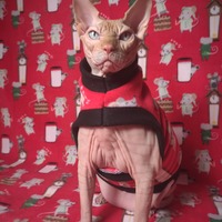 Not Even A Mouse - Thumbnail 1