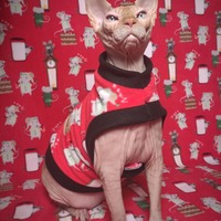 Not Even A Mouse - Thumbnail 2