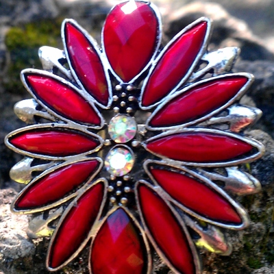 Crimson burst