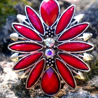 Crimson Burst - Thumbnail 1