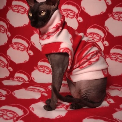 Santa's got ho's - Thumbnail 5