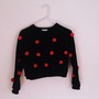 3D Pom Pom Crop Sweater-1