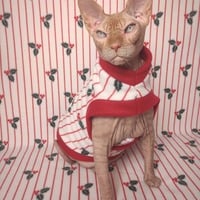 Sandpaper Kisses Under The Mistletoe - Thumbnail 2