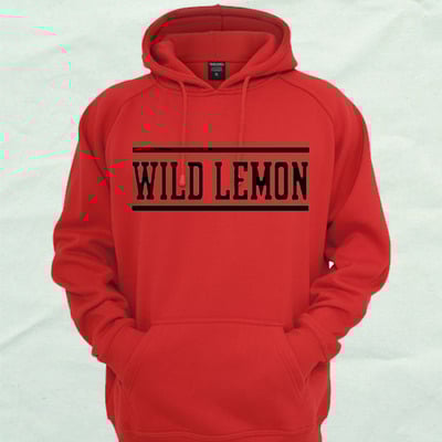 Red sophomore hoodie