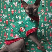 Inclusive Nutcracker - Thumbnail 1