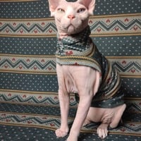 Holiday Hearts - Thumbnail 1