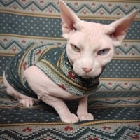 Holiday Hearts - Thumbnail 2