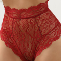 Red Lace Panties Shorts - Thumbnail 2