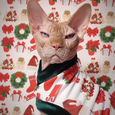 It's beginning to look...