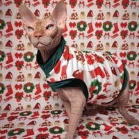 It's Beginning To Look... - Thumbnail 1