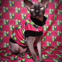 Friendsgiving - Thumbnail 1