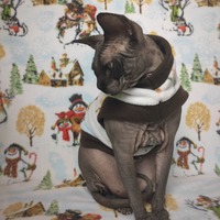 Snow Family - Thumbnail 2