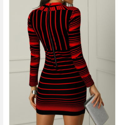 Women's Fashion Printed Long Sleeve Zipper Dress