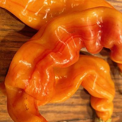 Striped sugar rush bacon malawi piquante heirloom pepper premium seed packet + more