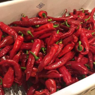 Numex las cruces cayenne pepper premium seed packet