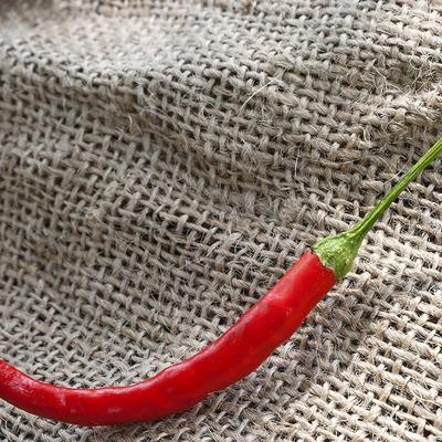 Chile de arbol tree chili birds beak pepper premium seed packet