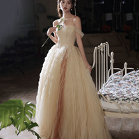 Champagne tulle long prom dress A line evening dress - Thumbnail 2