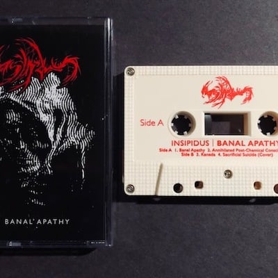 Insipidus - banal apathy demo - Thumbnail 4