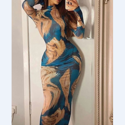 Printed long sleeve skinny dress