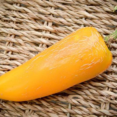 Giant yellow jalapeno pepper premium seed packet