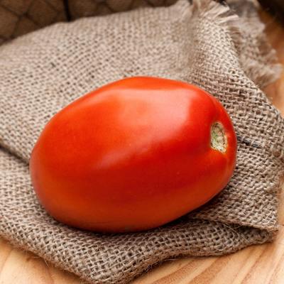 Romeo roma huge italian paste heirloom tomato premium seed packet
