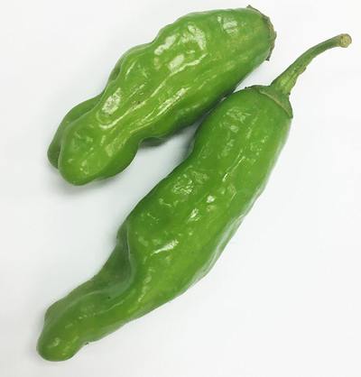 Shishito Pepper Premium Seed Packet