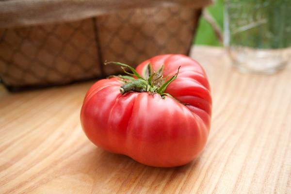 1884 Olde Timey Heirloom Tomato Premium Seed Packet
