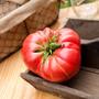 1884 Olde Timey Heirloom Tomato Premium Seed Packet-2