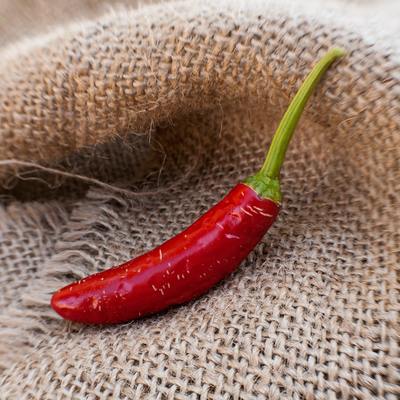 Serrano heirloom chili pepper premium seed packet