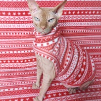 Ribbon Candy - Thumbnail 2