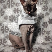 Snow Problem - Thumbnail 2