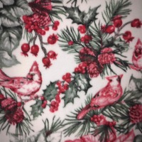 Cardinal Sin - Thumbnail 3