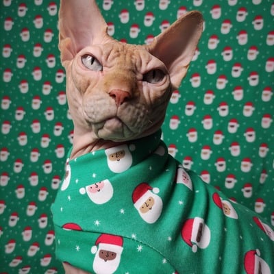 United colors of santa