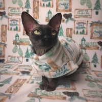 Country Christmas - Thumbnail 2