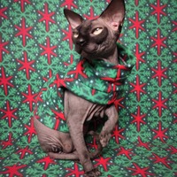 Stars Aligned - Thumbnail 1