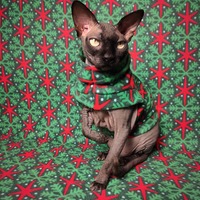 Stars Aligned - Thumbnail 2