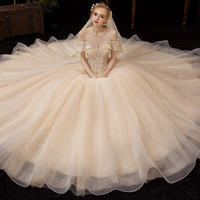 Champagne Tulle Sequins Long Prom Dress Evening Gown - Thumbnail 3