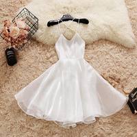 Sleeveless Backless Elegant Ball Gown Party Dress,Organza Homecoming Dresses,1257 - Thumbnail 1