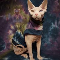 Dyed For Yeezus - Thumbnail 1