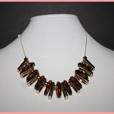 Stunning gold & tortise necklace