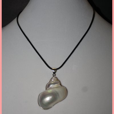 Beautiful seashell necklace