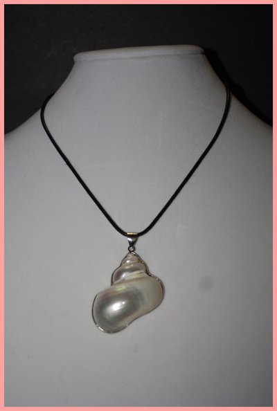 Beautiful seashell necklace