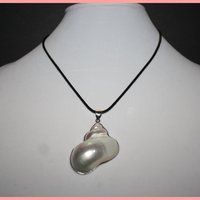 Beautiful Seashell Necklace - Thumbnail 1