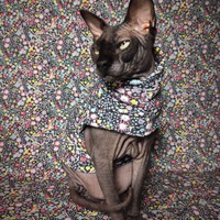 Doodles - Thumbnail 1